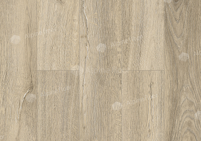 Каменный SPC ламинат Alpine Floor Premium XL Дуб Млечный