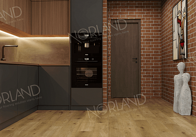 Ламинат Norland Elegant LF301-09 Дуб Хайнан
