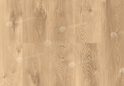 Каменный SPC ламинат Alpine Floor Premium XL Дуб Природный Изысканный