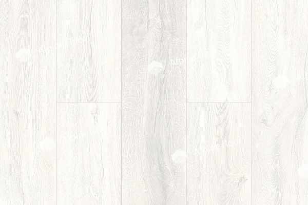 Каменный SPC ламинат Alpine Floor Intense Белый лес