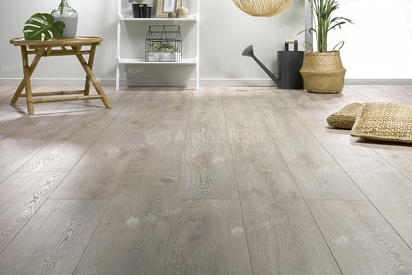 Ламинат Homflor Distingo 536 Long Island